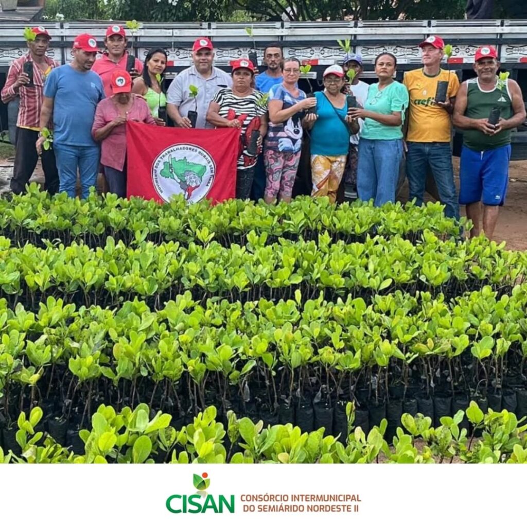 Entregas de mudas para a cadeia produtiva da cajucultura